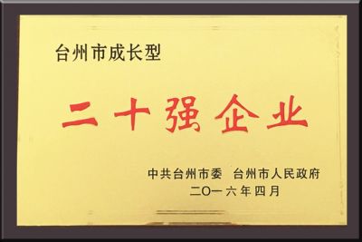 臺州市成長型二十強(qiáng)企業(yè)